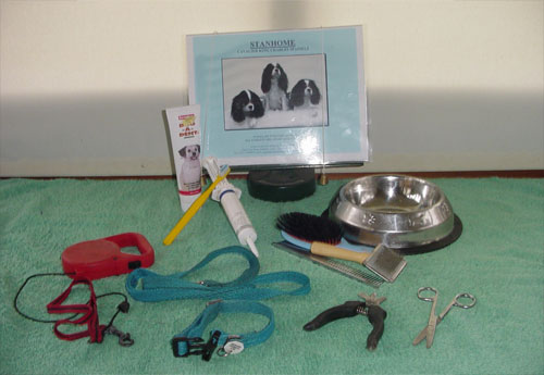 puppy equipment